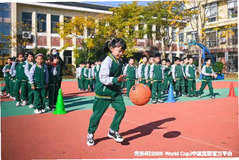 历史命中率展示
